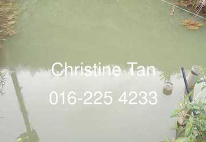 Bentong (Chamang Bukit Puma) 16 acres durian land