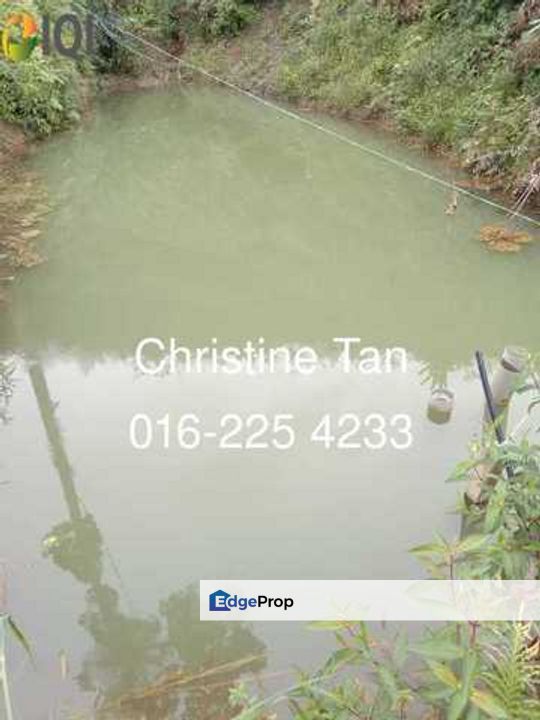 Bentong (Chamang Bukit Puma) 16 acres durian land, Pahang, Bentong