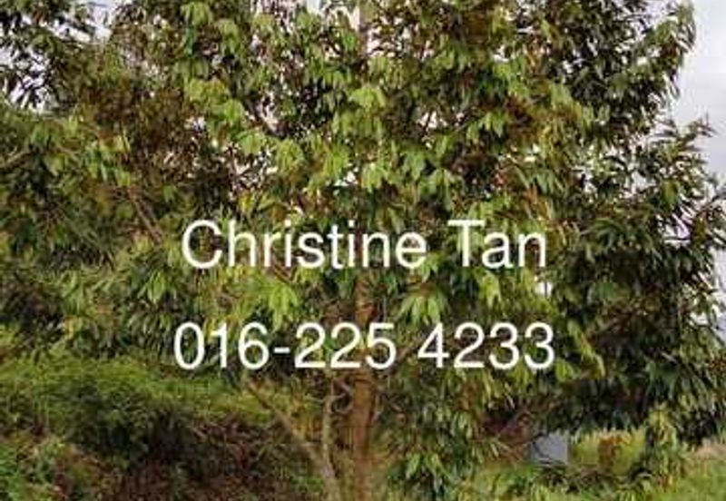 Bentong (Chamang Bukit Puma) 16 acres durian land