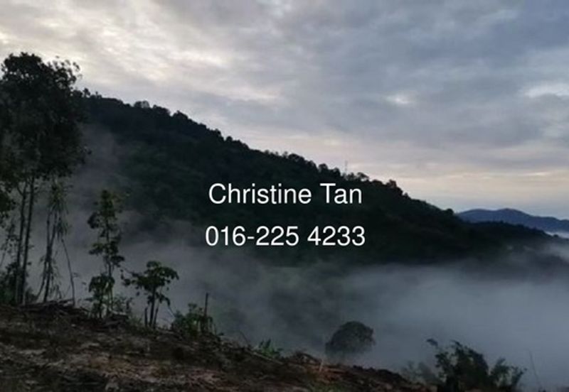 Hulu Langat 9 Acre Land (Agro farm or Durian Land)