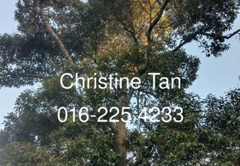 Hulu Langat 9 Acre Land (Agro farm or Durian Land)