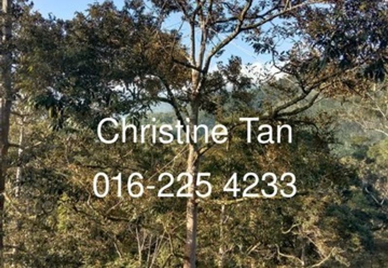 Hulu Langat 9 Acre Land (Agro farm or Durian Land)