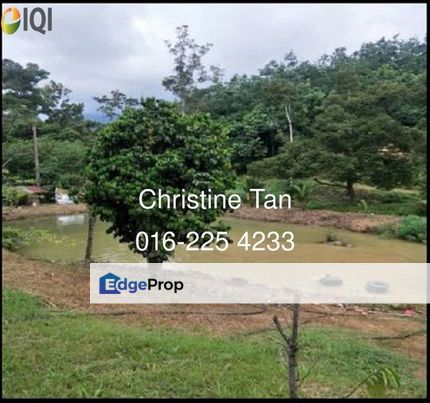 Bentong 6 Acre Acacia, Durian Orchard, Pahang, Bentong