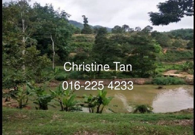 Bentong 6 Acre Acacia, Durian Orchard