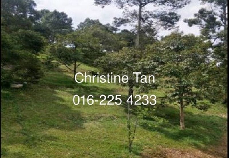 Bentong 6 Acre Acacia, Durian Orchard
