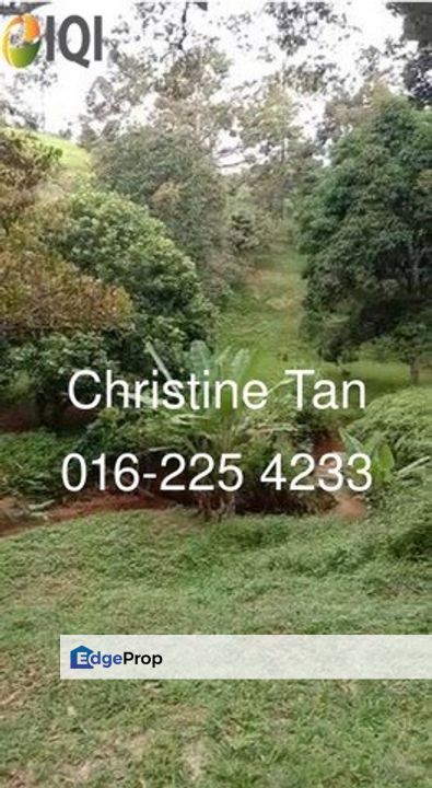 Bentong 6 Acre Acacia, Durian Orchard, Pahang, Bentong