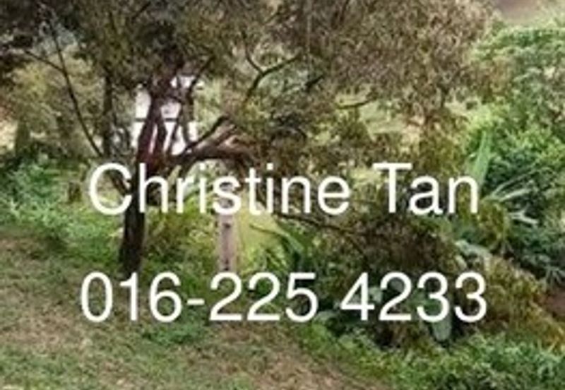 Bentong 6 Acre Acacia, Durian Orchard