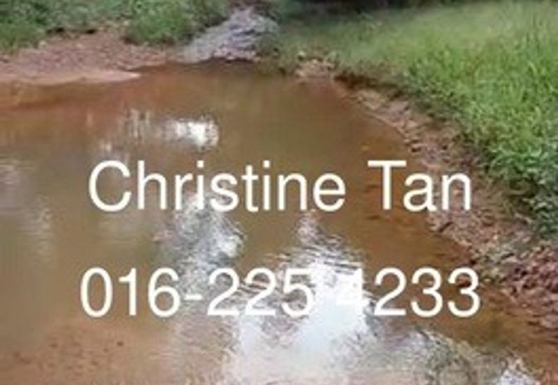 Bentong 6 Acre Acacia, Durian Orchard