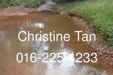 Bentong 6 Acre Acacia, Durian Orchard