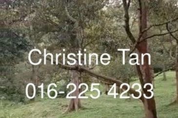 Bentong 6 Acre Acacia, Durian Orchard