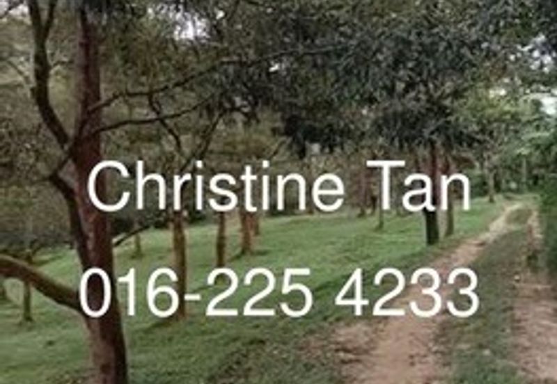 Bentong 6 Acre Acacia, Durian Orchard