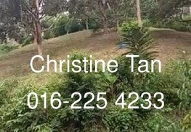 Bentong 6 Acre Acacia, Durian Orchard