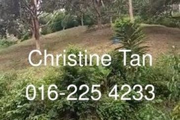 Bentong 6 Acre Acacia, Durian Orchard