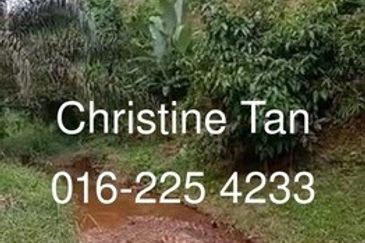 Bentong 6 Acre Acacia, Durian Orchard