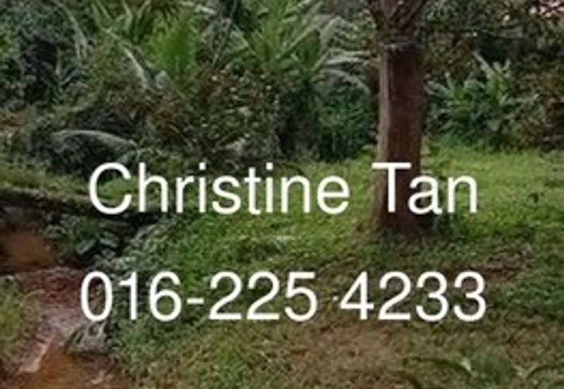 Bentong 6 Acre Acacia, Durian Orchard