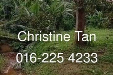 Bentong 6 Acre Acacia, Durian Orchard