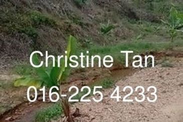 Bentong 6 Acre Acacia, Durian Orchard