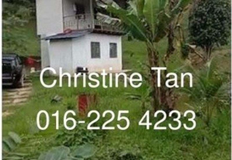 Bentong 6 Acre Acacia, Durian Orchard