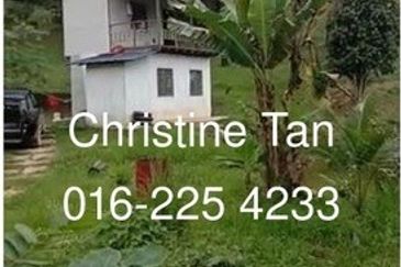 Bentong 6 Acre Acacia, Durian Orchard