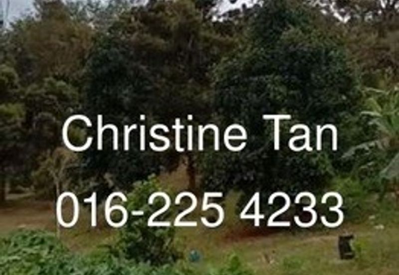 Bentong 6 Acre Acacia, Durian Orchard