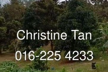 Bentong 6 Acre Acacia, Durian Orchard