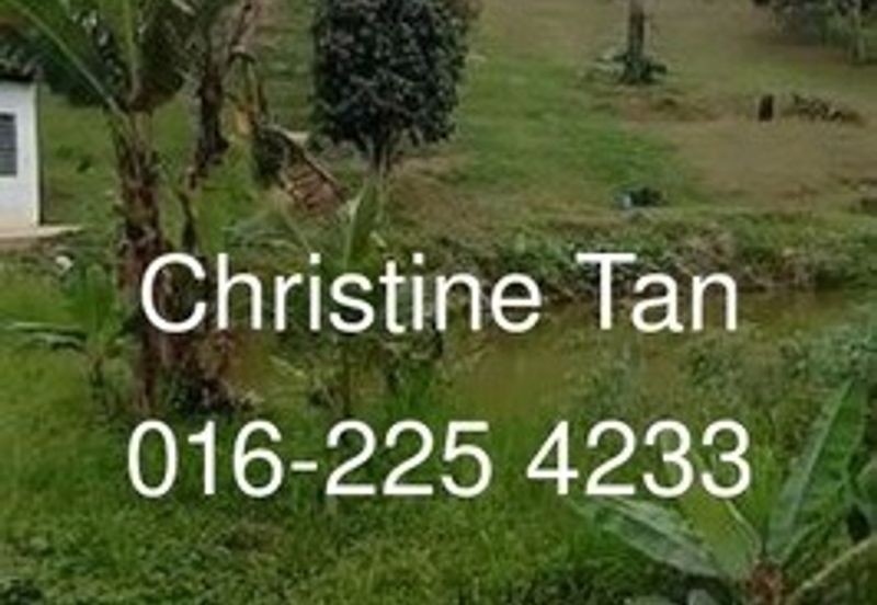 Bentong 6 Acre Acacia, Durian Orchard