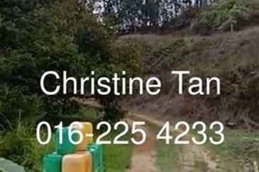 Bentong 6 Acre Acacia, Durian Orchard