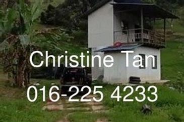 Bentong 6 Acre Acacia, Durian Orchard