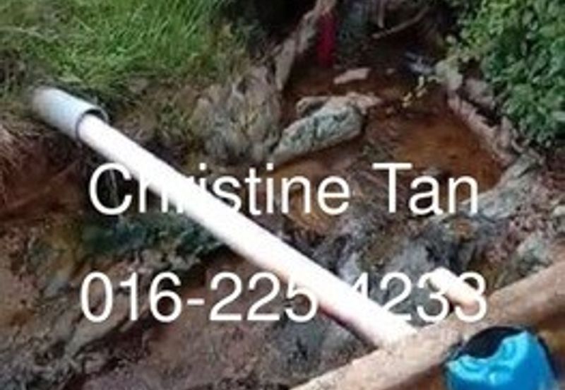 Bentong 6 Acre Acacia, Durian Orchard