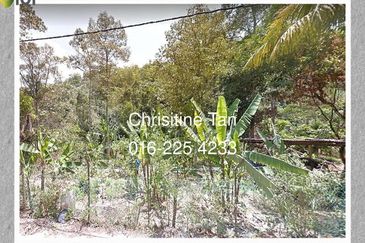 Bentong 7.5 Acres Agricultural Land