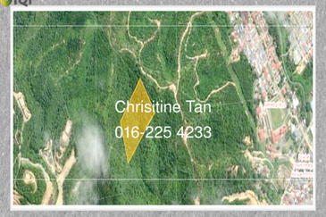 Bentong 7.5 Acres Agricultural Land