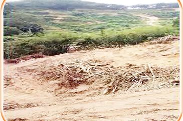 5.8 Acres Agricultural Land @ Kampung Sungai Tekali,Hulu Langat