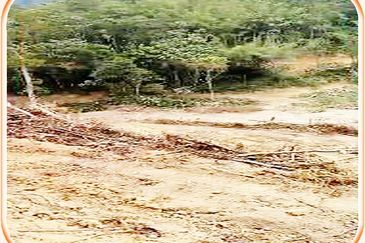 5.8 Acres Agricultural Land @ Kampung Sungai Tekali,Hulu Langat