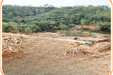 5.8 Acres Agricultural Land @ Kampung Sungai Tekali,Hulu Langat