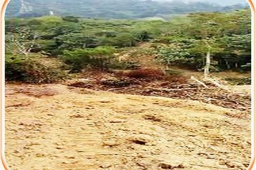 5.8 Acres Agricultural Land @ Kampung Sungai Tekali,Hulu Langat