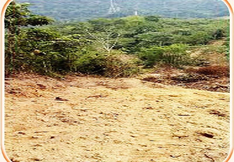 5.8 Acres Agricultural Land @ Kampung Sungai Tekali,Hulu Langat