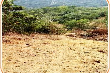 5.8 Acres Agricultural Land @ Kampung Sungai Tekali,Hulu Langat