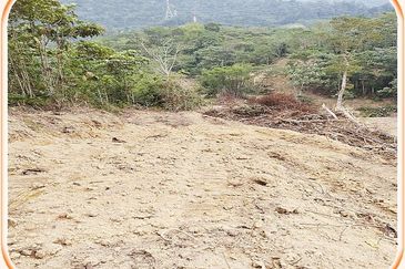 5.8 Acres Agricultural Land @ Kampung Sungai Tekali,Hulu Langat