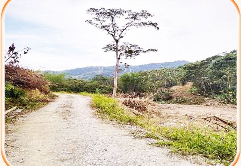 5.8 Acres Agricultural Land @ Kampung Sungai Tekali,Hulu Langat