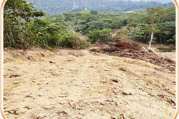 5.8 Acres Agricultural Land @ Kampung Sungai Tekali,Hulu Langat