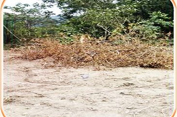 5.8 Acres Agricultural Land @ Kampung Sungai Tekali,Hulu Langat