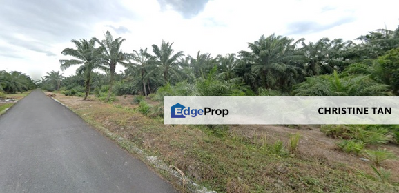 Freehold Land @ Sungai Rambai, Selangor, Jenjarom