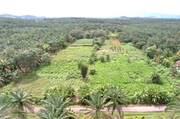 Freehold Land Area @ Kulai