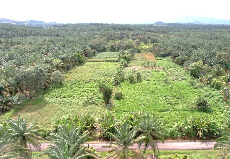 Freehold Land Area @ Kulai