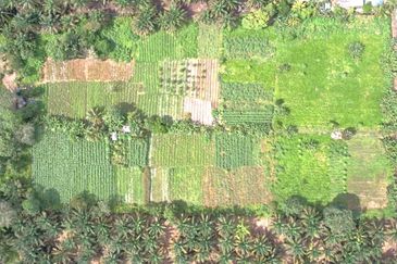 Freehold Land Area @ Kulai