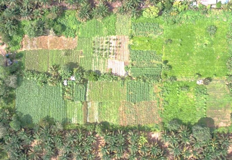 Freehold Land Area @ Kulai