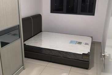 Eco Bloom @ Eco Meadows