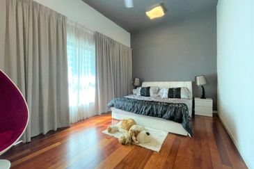 The Light Collection I