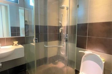 The Light Collection I