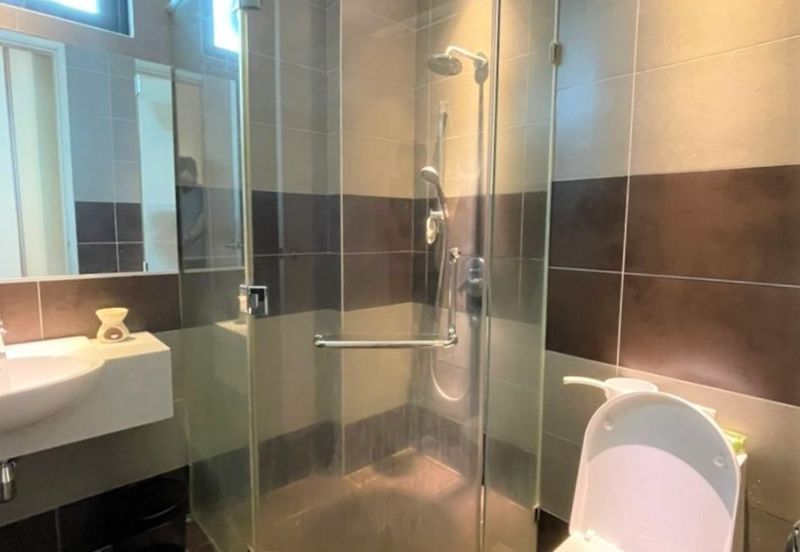 The Light Collection I